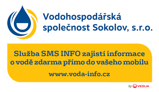 Logo VOSS.png